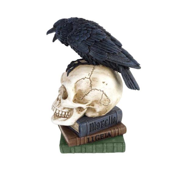 Poe's Raven Skull Nevermore Poetry Books Resin Decor Statue V17 Alchemy Gothic 